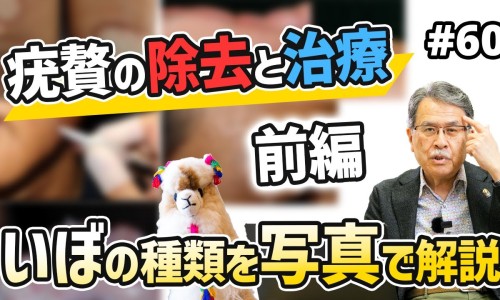 制霉素软胶囊的功效与作用-制霉素片国药准字h33021393说明书网- 制霉素软胶囊的功效与作用知识,分享制霉素胶囊