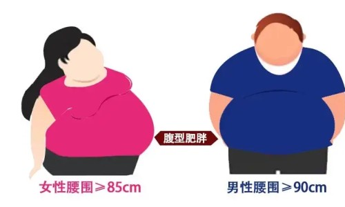 制霉素片国药准字h33021393说明书网- 制霉素软胶囊的功效与作用知识,分享制霉素胶囊