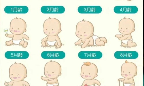 制霉素片被国家禁售了吗-制霉素片国药准字h33021393说明书网- 制霉素软胶囊的功效与作用知识,分享制霉素胶囊