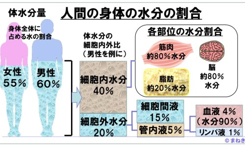 制霉素片的价格是多少-制霉素片国药准字h33021393说明书网- 制霉素软胶囊的功效与作用知识,分享制霉素胶囊